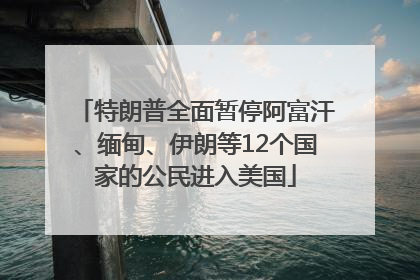 特朗普全面暂停阿富汗、缅甸、伊朗等12个国家的公民进入美国