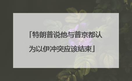 特朗普说他与普京都认为以伊冲突应该结束