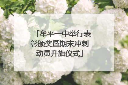 牟平一中举行表彰颁奖暨期末冲刺动员升旗仪式