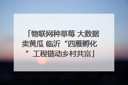 物联网种草莓 大数据卖黄瓜 临沂“四雁孵化”工程链动乡村共富