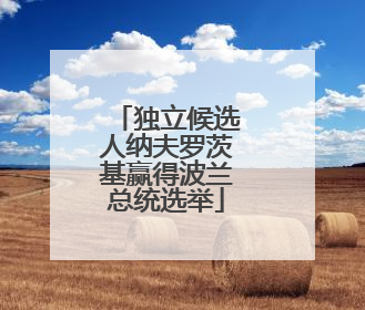 独立候选人纳夫罗茨基赢得波兰总统选举