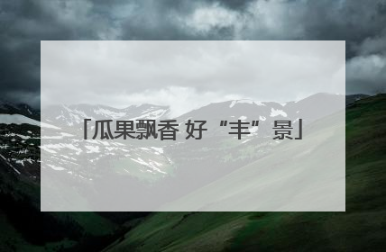 瓜果飘香 好“丰”景