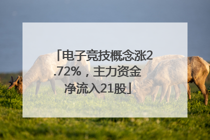 电子竞技概念涨2.72%，主力资金净流入21股