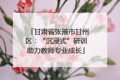 甘肃省张掖市甘州区：“沉浸式”研训助力教师专业成长