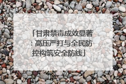 甘肃禁毒成效显著：高压严打与全民防控构筑安全防线