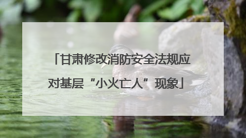 甘肃修改消防安全法规应对基层“小火亡人”现象