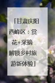 甘肃庆阳西峰区：赏花+采摘 解锁乡村旅游新体验