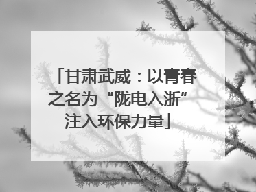 甘肃武威：以青春之名为“陇电入浙”注入环保力量