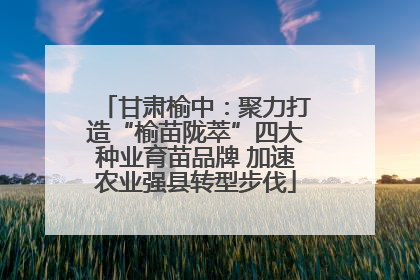 甘肃榆中：聚力打造“榆苗陇萃”四大种业育苗品牌 加速农业强县转型步伐