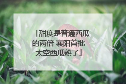 甜度是普通西瓜的两倍 襄阳首批太空西瓜熟了