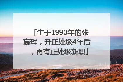 生于1990年的张宸珲，升正处级4年后，再有正处级新职