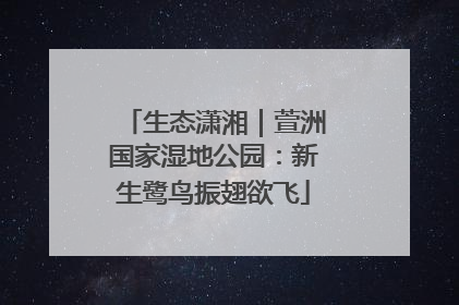 生态潇湘｜萱洲国家湿地公园：新生鹭鸟振翅欲飞