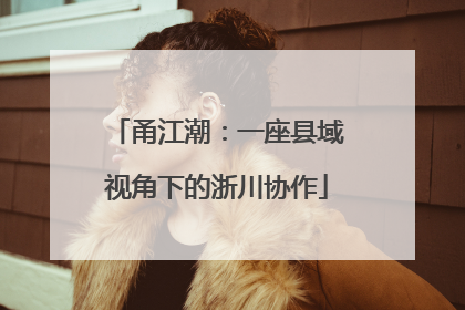 甬江潮：一座县域视角下的浙川协作