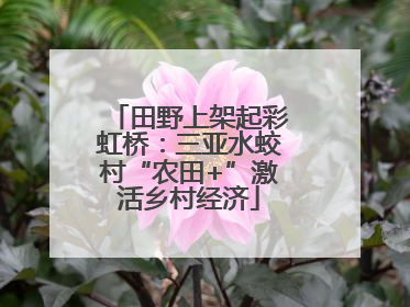 田野上架起彩虹桥：三亚水蛟村“农田+”激活乡村经济