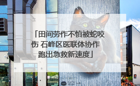 田间劳作不慎被蛇咬伤 石峰区医联体协作跑出急救新速度