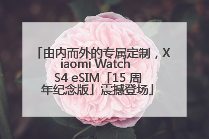 由内而外的专属定制，Xiaomi Watch S4 eSIM「15 周年纪念版」震撼登场