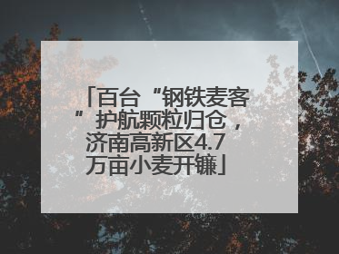 百台“钢铁麦客”护航颗粒归仓，济南高新区4.7万亩小麦开镰