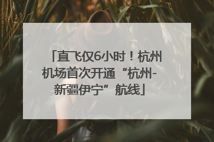 直飞仅6小时！杭州机场首次开通“杭州-新疆伊宁”航线