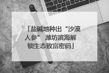 盐碱地种出“沙漠人参” 潍坊滨海解锁生态致富密码