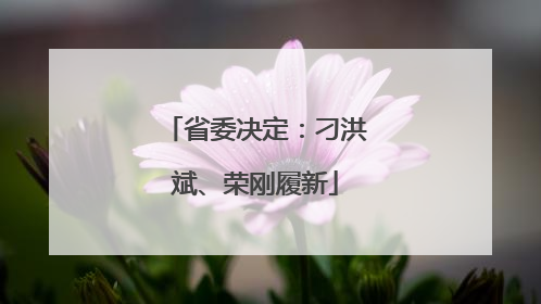 省委决定：刁洪斌、荣刚履新