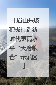 眉山东坡积极打造新时代更高水平“天府粮仓”示范区
