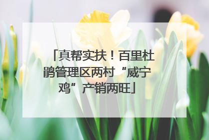 真帮实扶！百里杜鹃管理区两村“威宁鸡”产销两旺