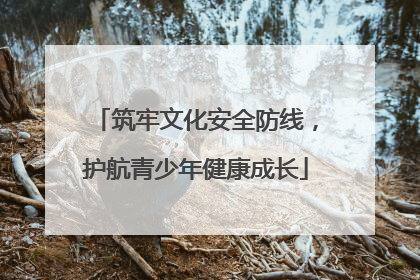 筑牢文化安全防线，护航青少年健康成长