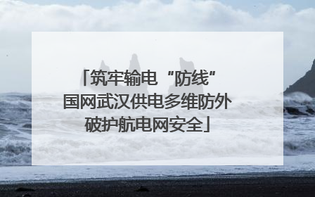 筑牢输电“防线” 国网武汉供电多维防外破护航电网安全