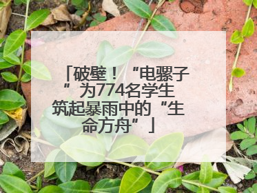 破壁！“电骡子”为774名学生筑起暴雨中的“生命方舟”
