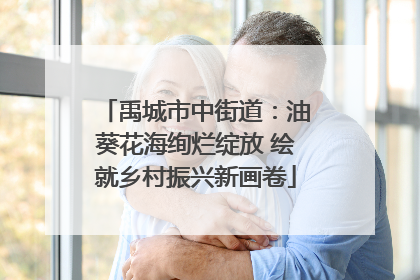 禹城市中街道：油葵花海绚烂绽放 绘就乡村振兴新画卷