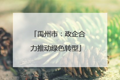 禹州市：政企合力推动绿色转型