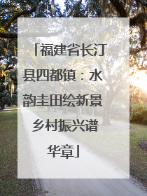 福建省长汀县四都镇：水韵圭田绘新景 乡村振兴谱华章