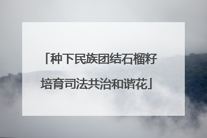 种下民族团结石榴籽 培育司法共治和谐花