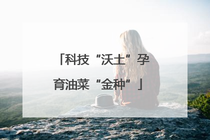 科技“沃土”孕育油菜“金种”