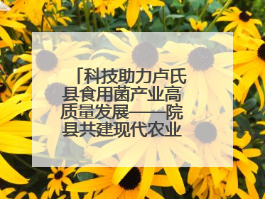 科技助力卢氏县食用菌产业高质量发展——院县共建现代农业科技示范县