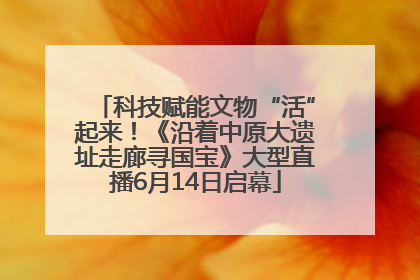科技赋能文物“活”起来！《沿着中原大遗址走廊寻国宝》大型直播6月14日启幕