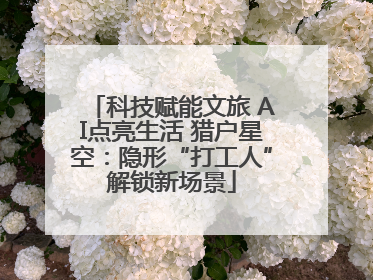 科技赋能文旅 AI点亮生活 猎户星空：隐形“打工人”解锁新场景
