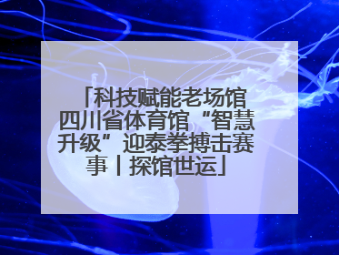 科技赋能老场馆 四川省体育馆“智慧升级”迎泰拳搏击赛事丨探馆世运