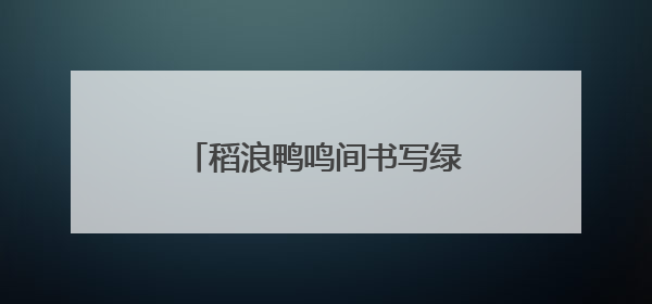 稻浪鸭鸣间书写绿色答卷：全国劳模田淑娴的田野振兴梦