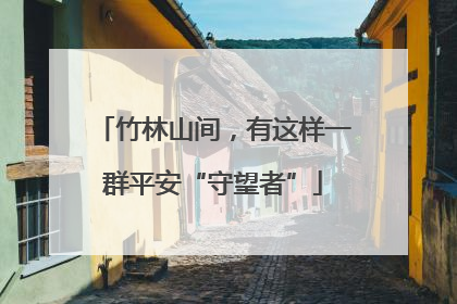 竹林山间，有这样一群平安“守望者”