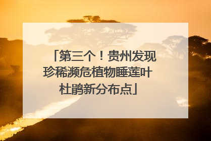 第三个！贵州发现珍稀濒危植物睡莲叶杜鹃新分布点