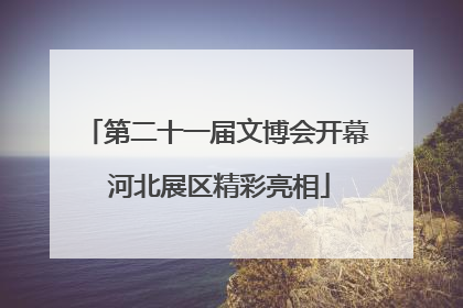 第二十一届文博会开幕 河北展区精彩亮相