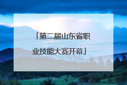 第二届山东省职业技能大赛开幕