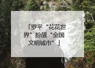 罗平“花花世界”扮靓“全国文明城市”