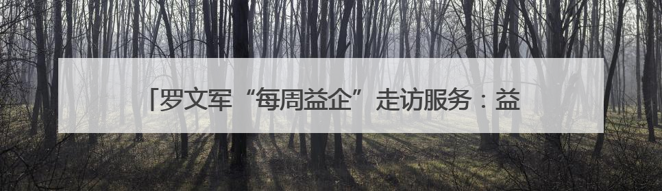 罗文军“每周益企”走访服务：益企走访暖人心 精准服务促发展