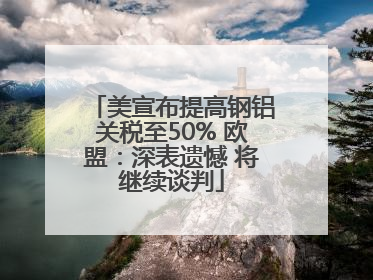 美宣布提高钢铝关税至50% 欧盟：深表遗憾 将继续谈判