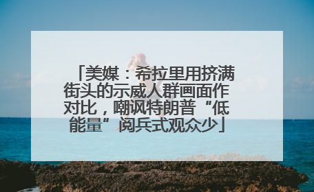 美媒：希拉里用挤满街头的示威人群画面作对比，嘲讽特朗普“低能量”阅兵式观众少