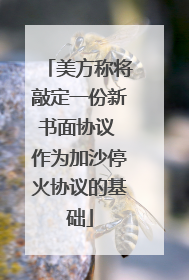 美方称将敲定一份新书面协议 作为加沙停火协议的基础