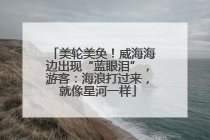 美轮美奂！威海海边出现“蓝眼泪”，游客：海浪打过来，就像星河一样