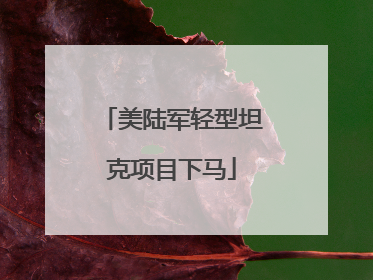 美陆军轻型坦克项目下马